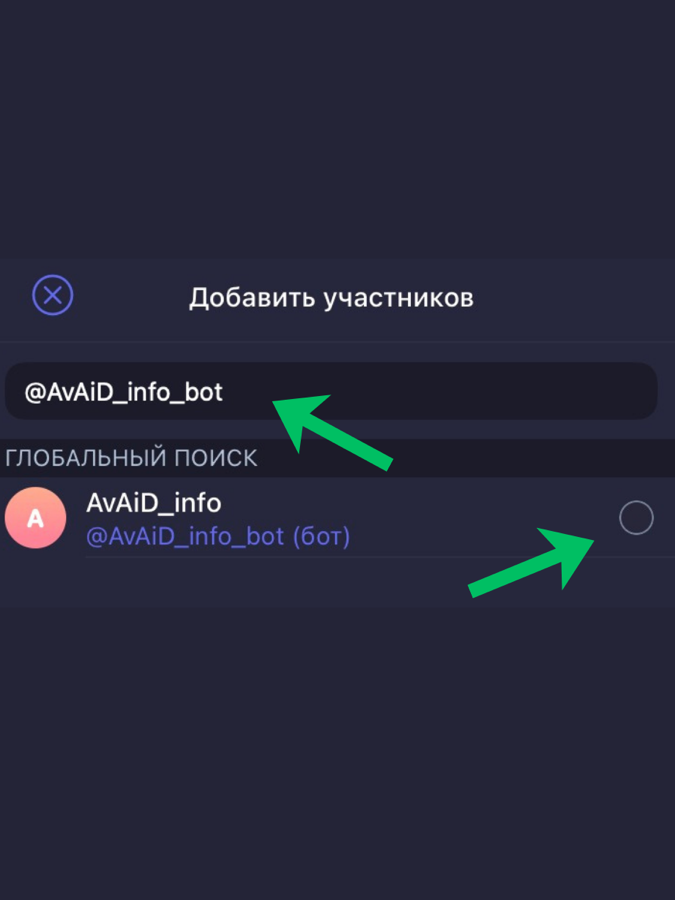 Внесение бота в список администраторов