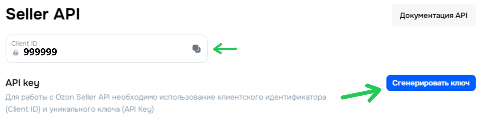 Настройки API Ozon